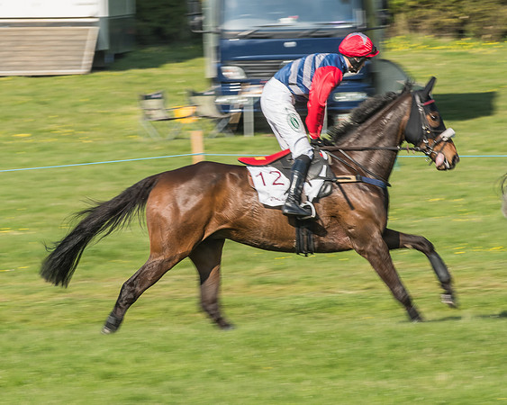 Race 5 - Restricted Race-29