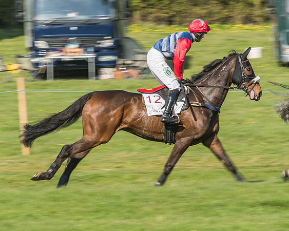 Race 5 - Restricted Race-30