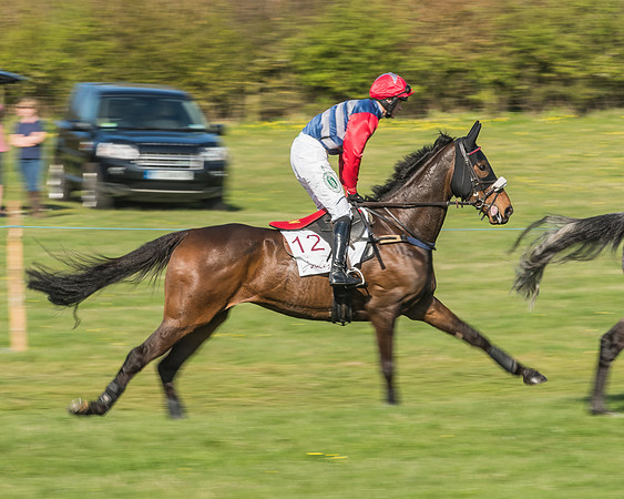 Race 5 - Restricted Race-31