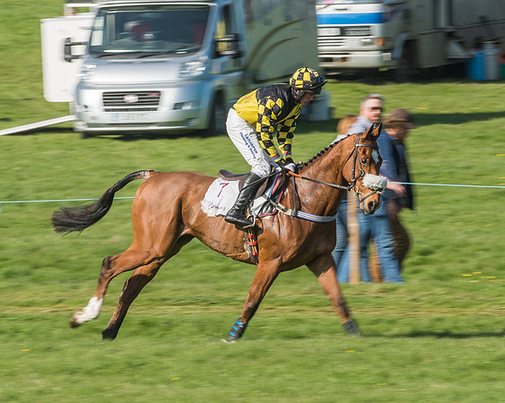 Race 5 - Restricted Race-32
