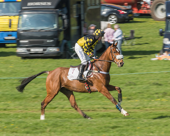 Race 5 - Restricted Race-33