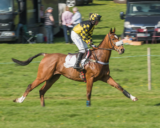Race 5 - Restricted Race-34