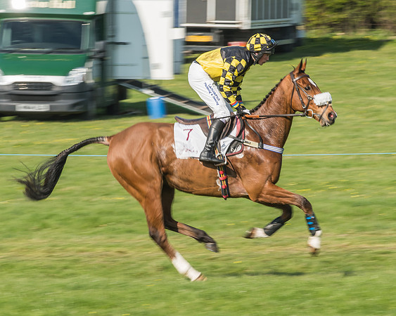 Race 5 - Restricted Race-35