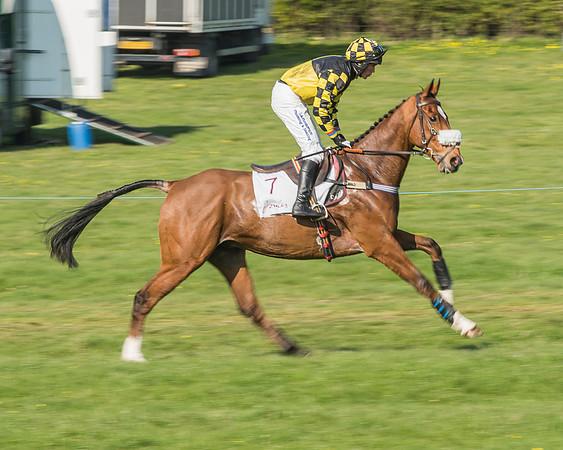 Race 5 - Restricted Race-36
