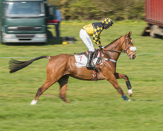 Race 5 - Restricted Race-37