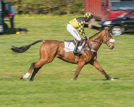 Race 5 - Restricted Race-38