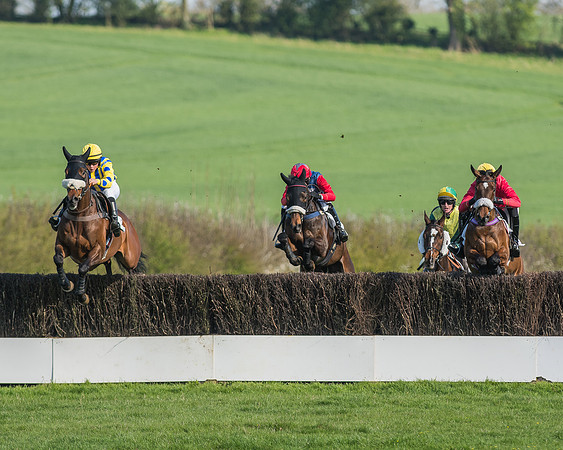 Race 5 - Restricted Race-39