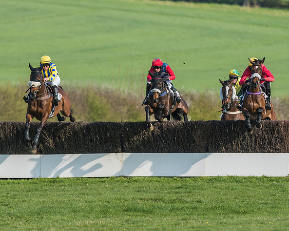 Race 5 - Restricted Race-40