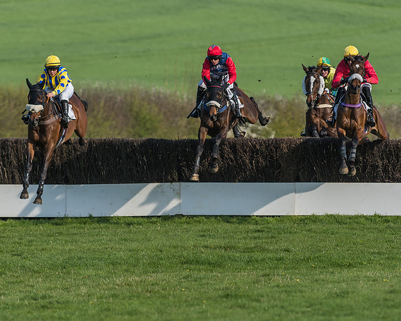 Race 5 - Restricted Race-41