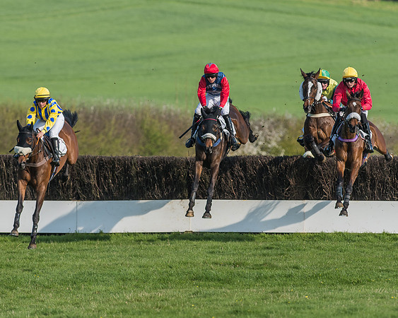 Race 5 - Restricted Race-42