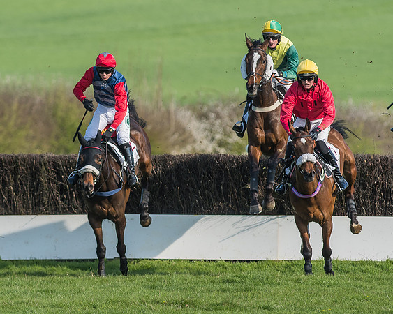Race 5 - Restricted Race-43
