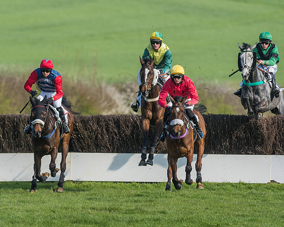Race 5 - Restricted Race-44