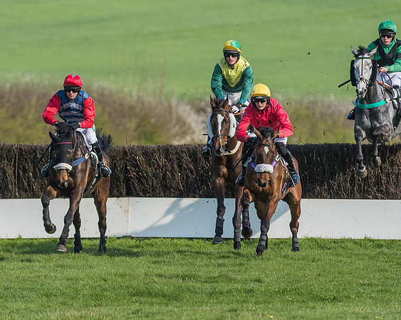 Race 5 - Restricted Race-45