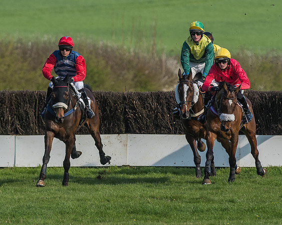Race 5 - Restricted Race-46