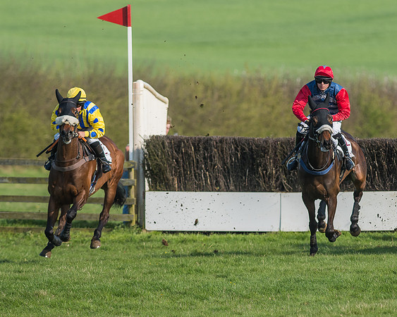 Race 5 - Restricted Race-47