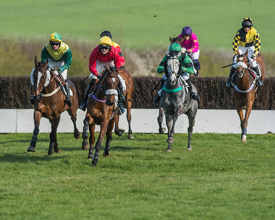Race 5 - Restricted Race-48
