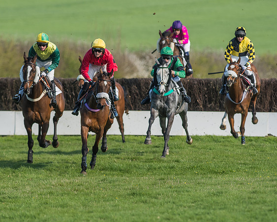 Race 5 - Restricted Race-49