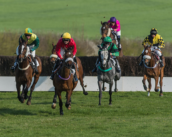 Race 5 - Restricted Race-50