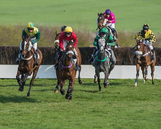 Race 5 - Restricted Race-51