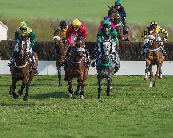 Race 5 - Restricted Race-52