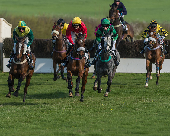 Race 5 - Restricted Race-53