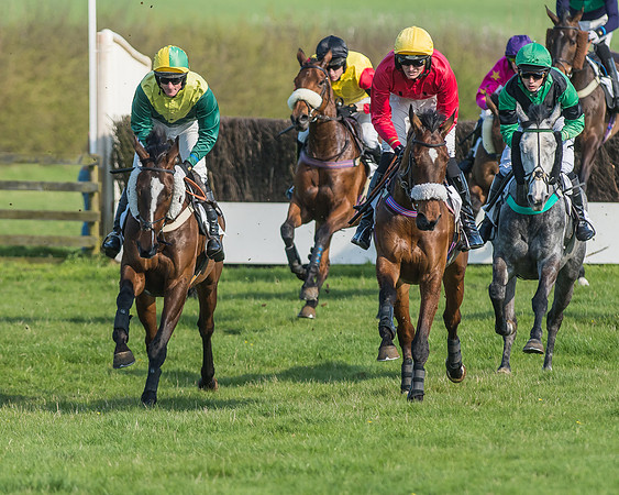 Race 5 - Restricted Race-54