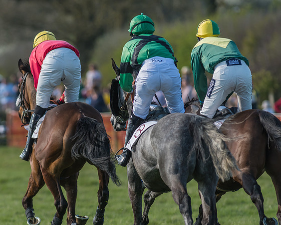 Race 5 - Restricted Race-55