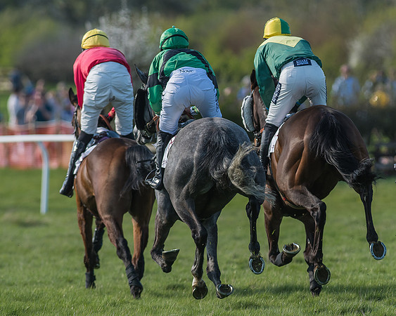 Race 5 - Restricted Race-56