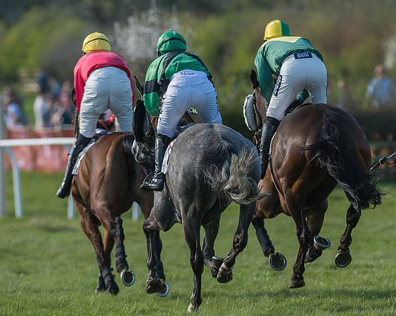 Race 5 - Restricted Race-57