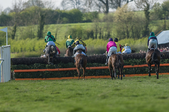 Race 5 - Restricted Race-58