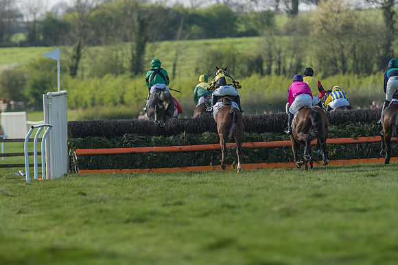 Race 5 - Restricted Race-59