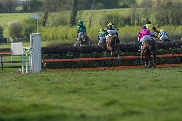 Race 5 - Restricted Race-60