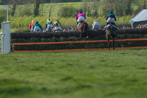 Race 5 - Restricted Race-61