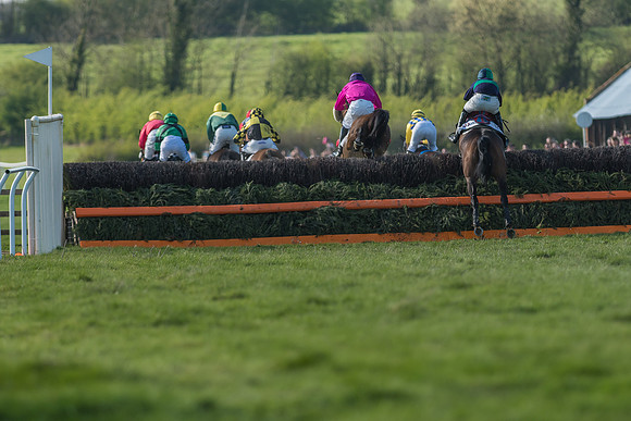 Race 5 - Restricted Race-62