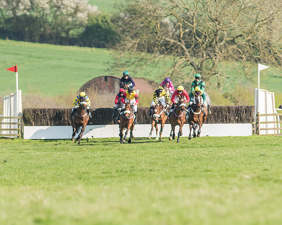 Race 5 - Restricted Race-63