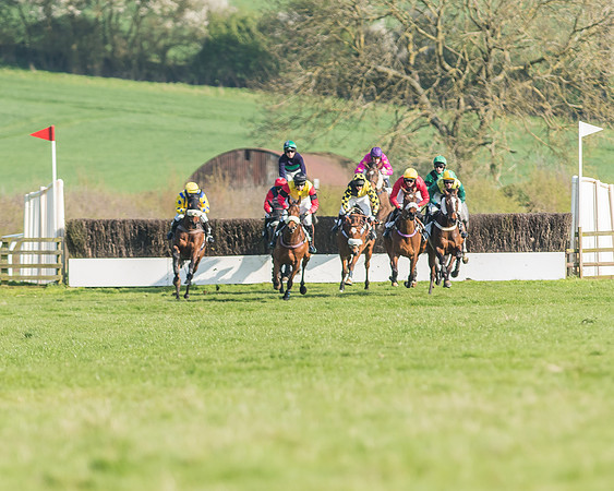 Race 5 - Restricted Race-64