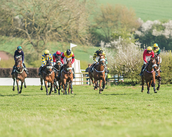 Race 5 - Restricted Race-65