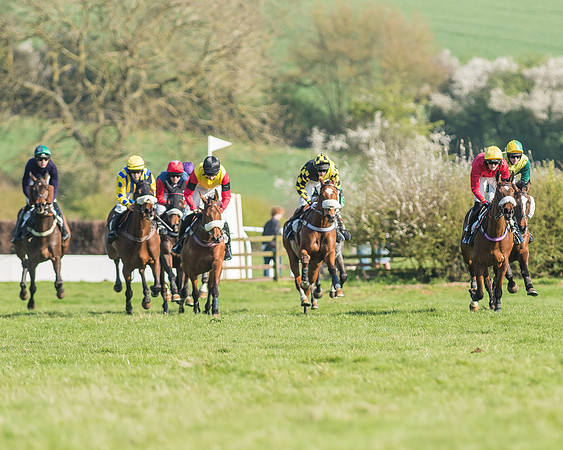 Race 5 - Restricted Race-66