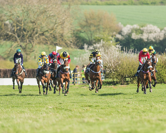Race 5 - Restricted Race-67