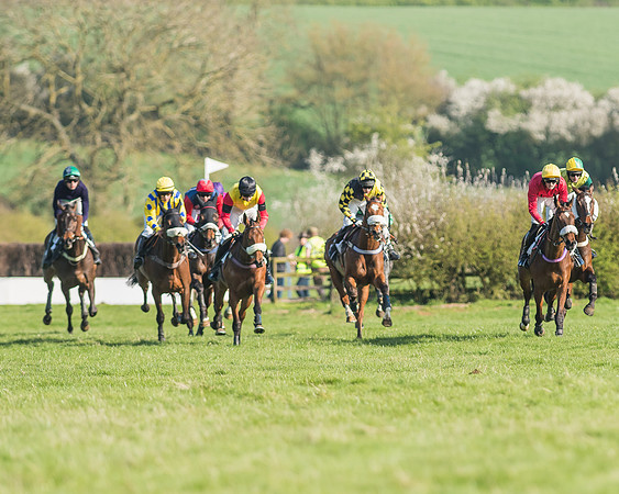 Race 5 - Restricted Race-68