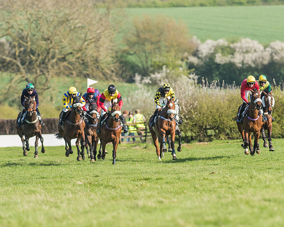 Race 5 - Restricted Race-69