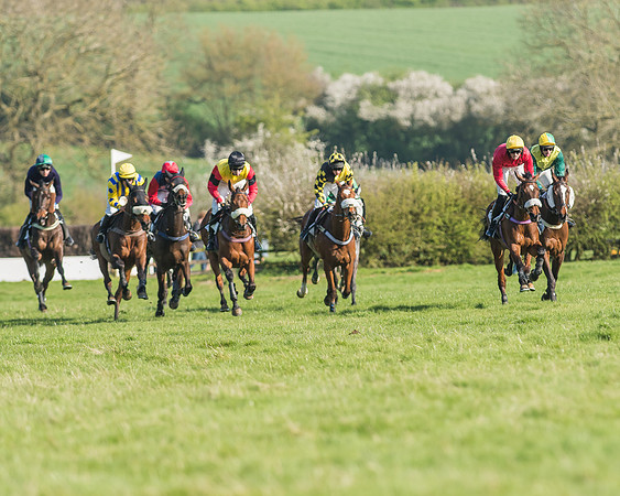 Race 5 - Restricted Race-70