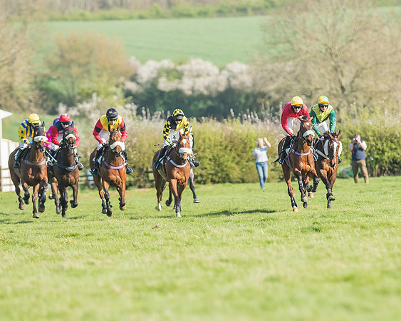 Race 5 - Restricted Race-71