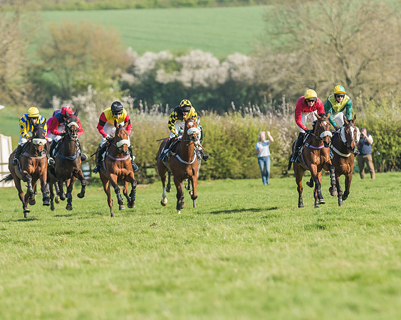 Race 5 - Restricted Race-72