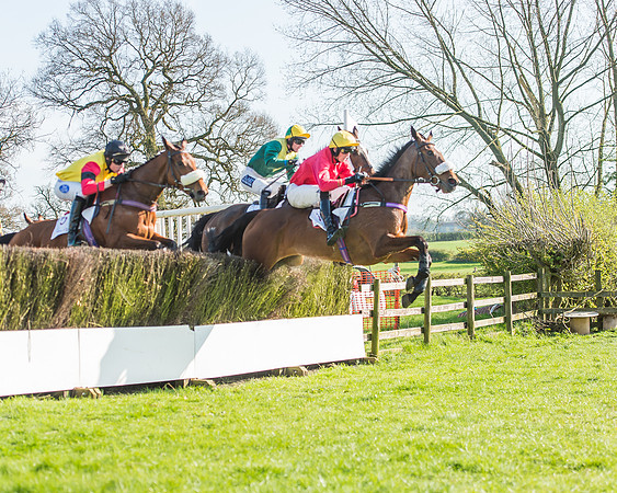 Race 5 - Restricted Race-74