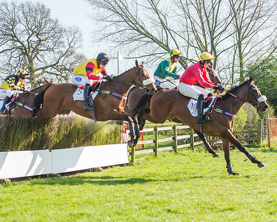 Race 5 - Restricted Race-76