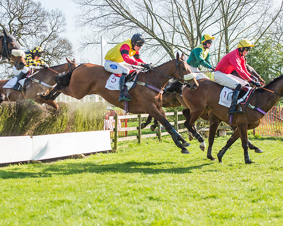 Race 5 - Restricted Race-77