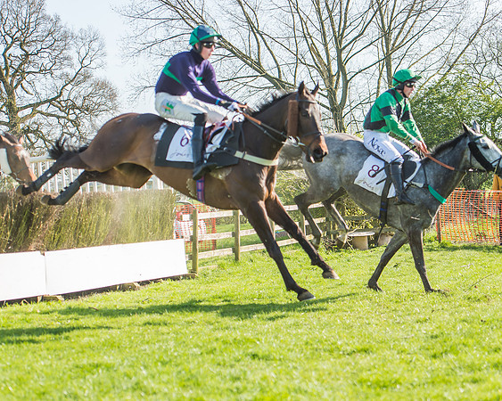 Race 5 - Restricted Race-79