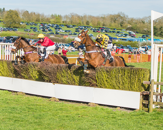 Race 5 - Restricted Race-86