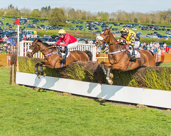 Race 5 - Restricted Race-87